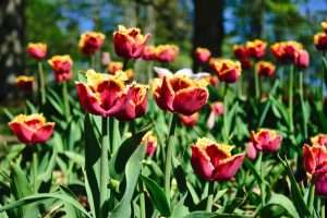 DSC_0001-scaled