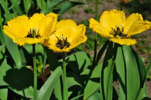 DSC_0005-scaled