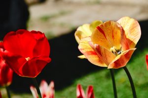 DSC_0031-scaled