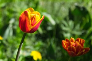 DSC_0053-scaled