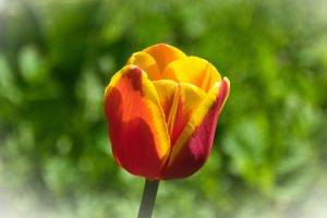 DSC_0056-scaled