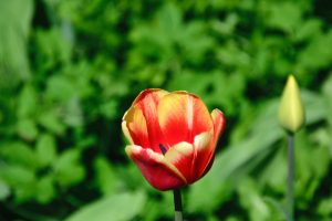 DSC_0061-scaled