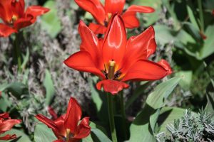 DSC_0062-scaled