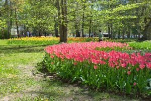 DSC_0069-scaled