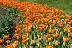 DSC_0113-scaled