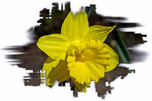 Botanic-Garden-Tallinn-027